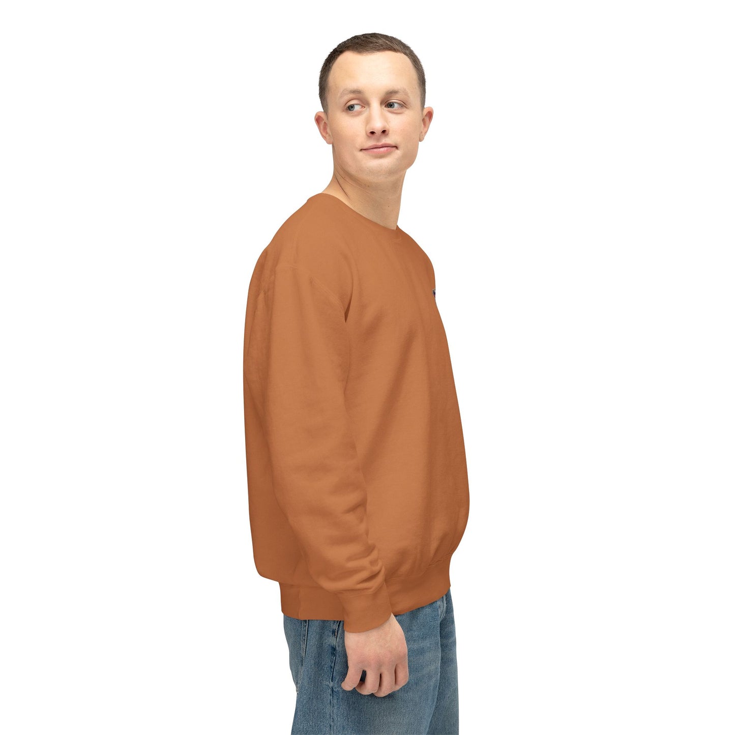 Pawsitive | Unisex Lightweight Crewneck Sweatshirt
